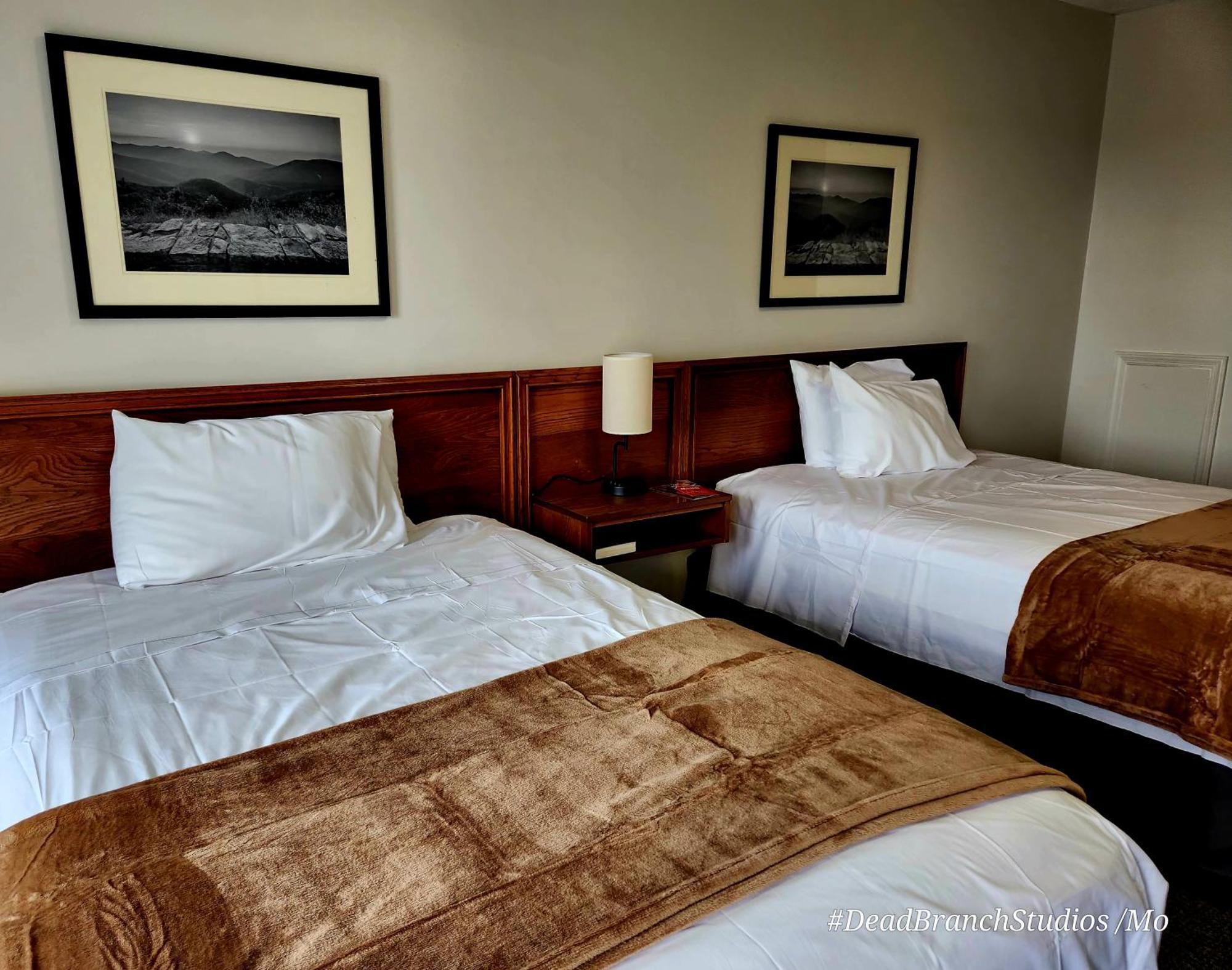 Fox Mountain Inn Max Meadows 外观 照片